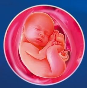 Роль медицинской сестры в лечении гипертонической болезни