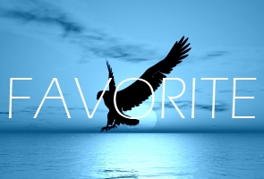 Favorite Favorite