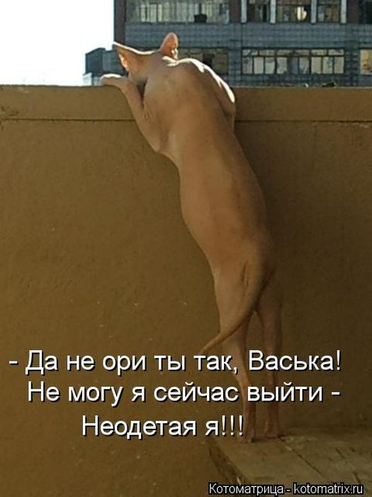 http://s5.hostingkartinok.com/uploads/images/2013/06/02b4521d5f644b5ea6cf8cf6b91ecb7e.jpg