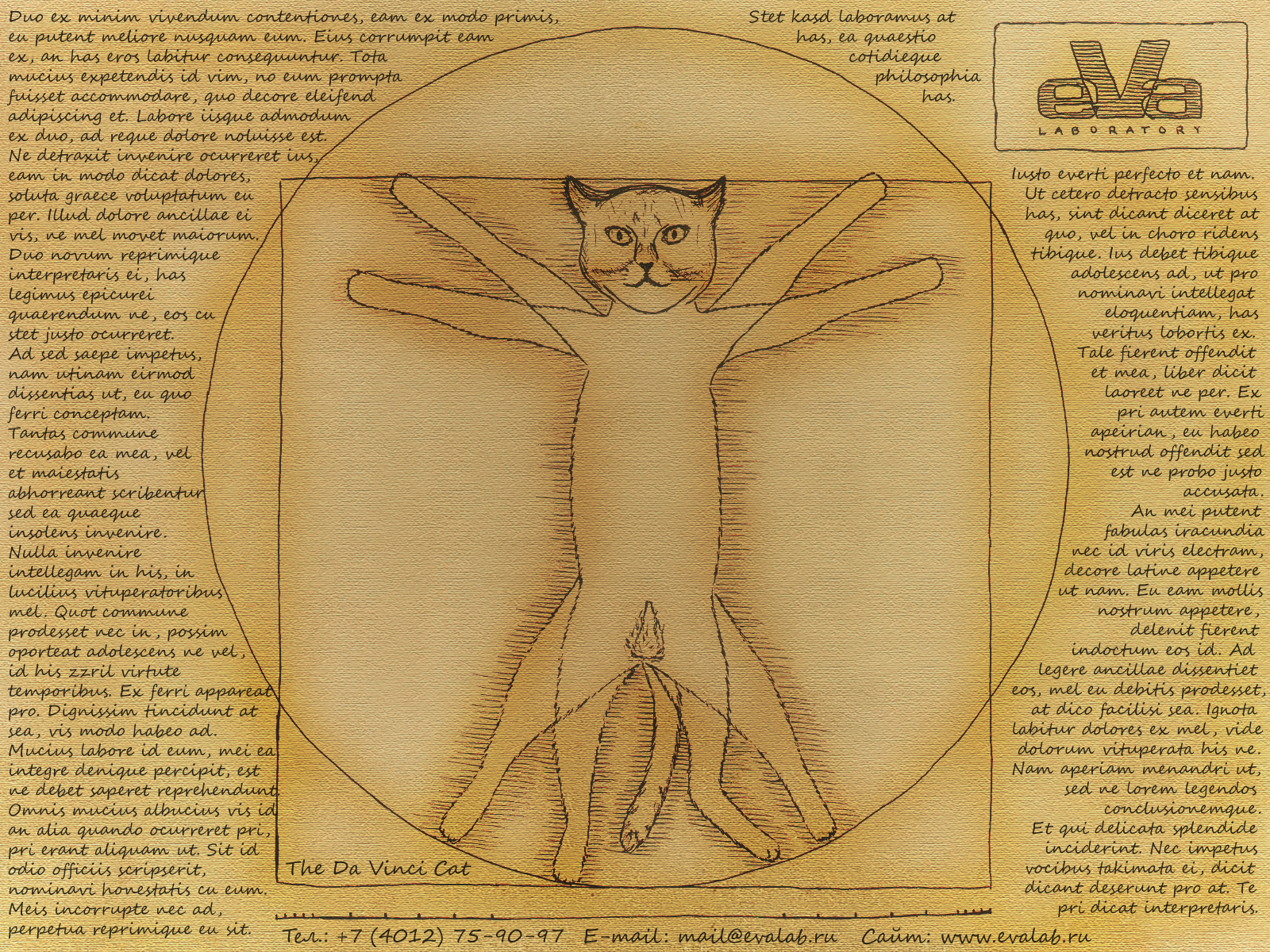 Леонардо да Винчи Витрувианский кот