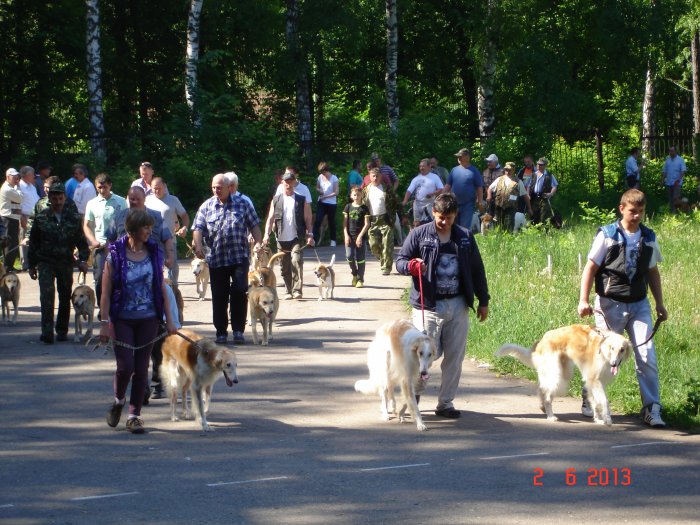 Нижегородский областной клуб охотничьего собаководства