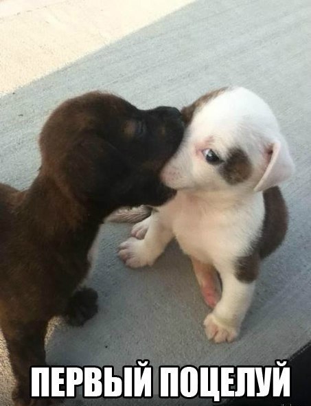 Картинка дня