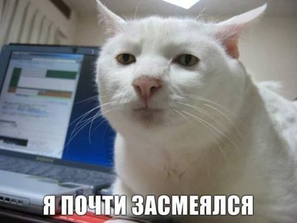 33796ce011ec648d547d8eb6145b4790.jpg