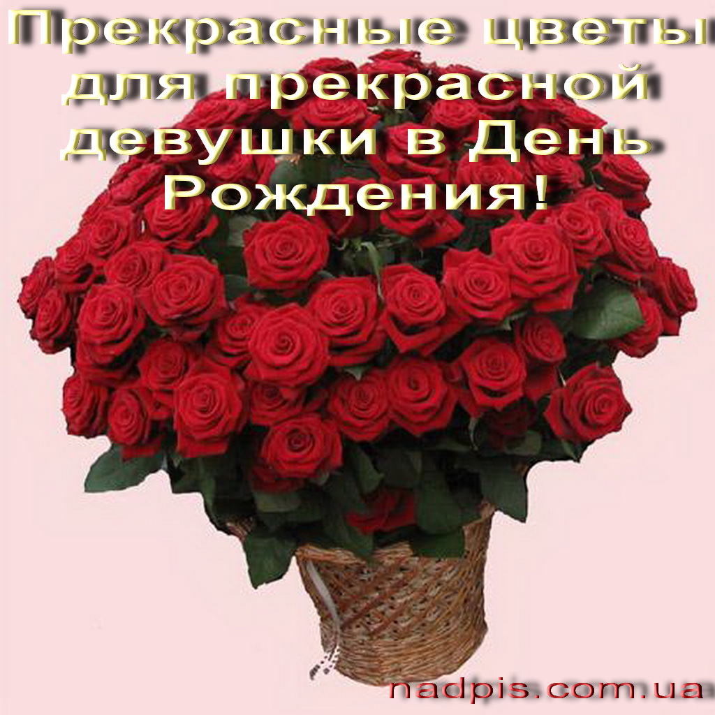 http://s5.hostingkartinok.com/uploads/images/2013/09/316aec8ffe5214554b2e133160fe3f83.jpg