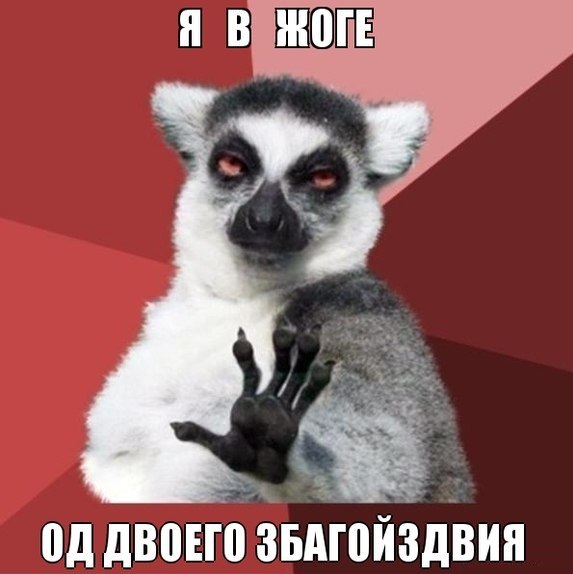 354312ad05194f7ad48dd6d48f6463d9.jpg