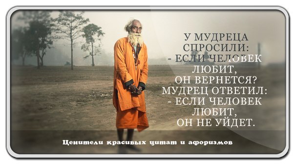 Афоризм мы любим не человека а то Афоризм мы любим не человека а то
