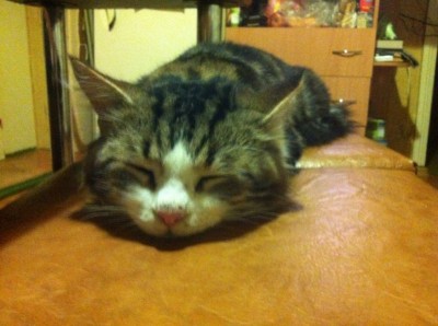 Зображення