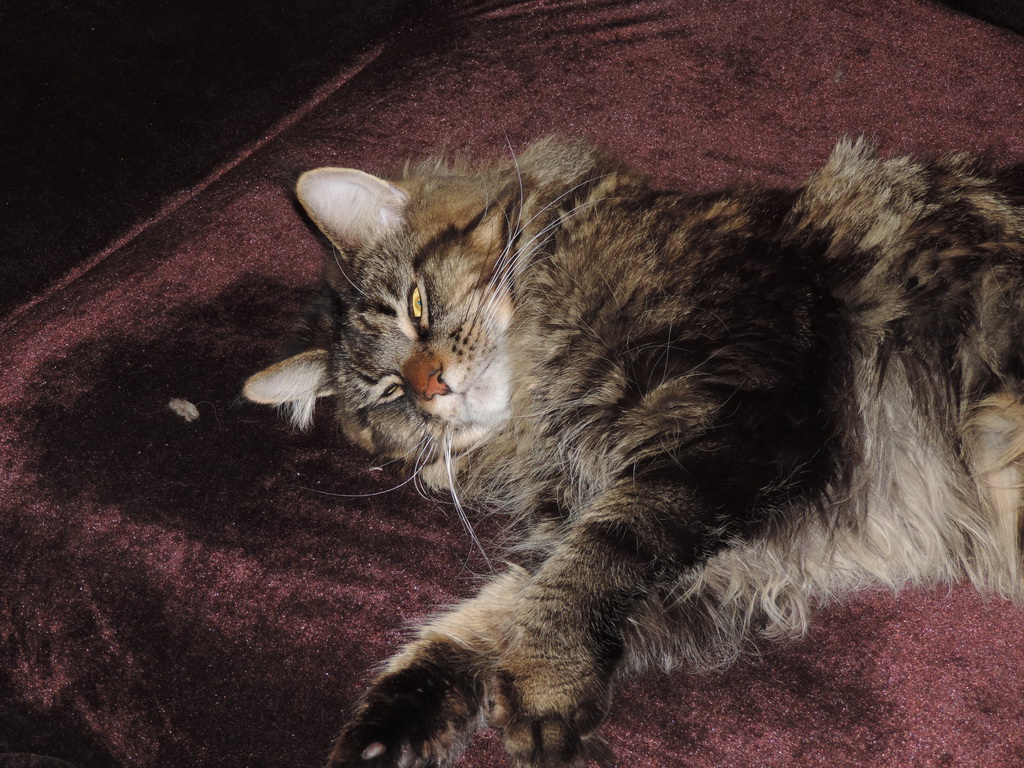 Зображення