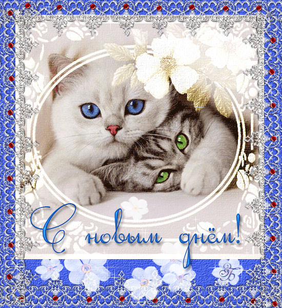 Открытки красивые добрые Открытки красивые добрые