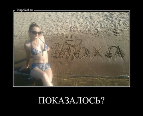 57cc0ae3da62a9a14c5bfcd2d9ab5f79.jpg