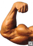 a2faf30873ba53abbade60e8fc0b0b21.png