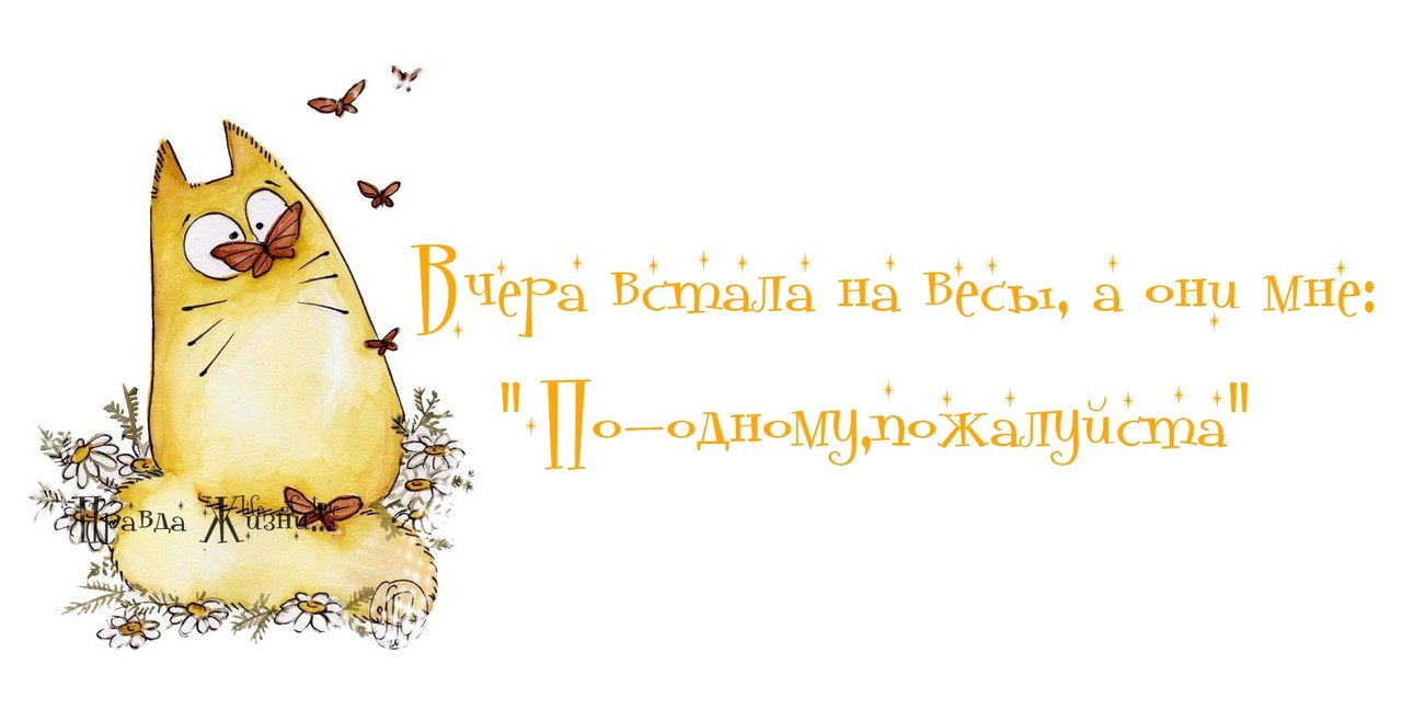 Смешные высказывания картинки день рождения, открытки