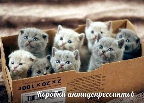 http://s5.hostingkartinok.com/uploads/images/2013/06/d5b2ffb408895d711cb9ff932d9640a1.jpg