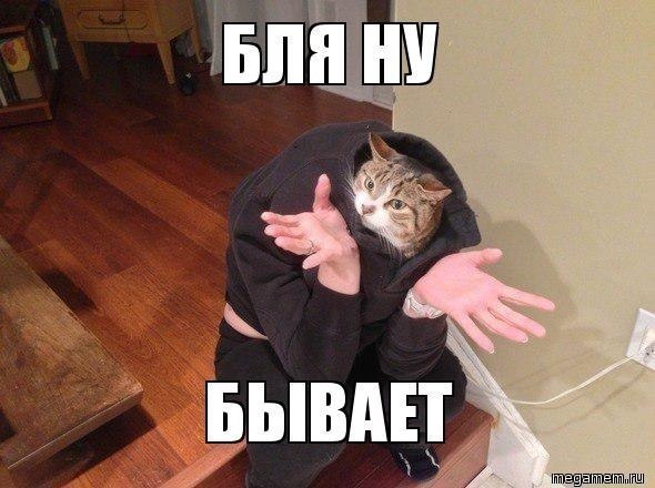 ea0504669578438d38cc406920605765.jpg