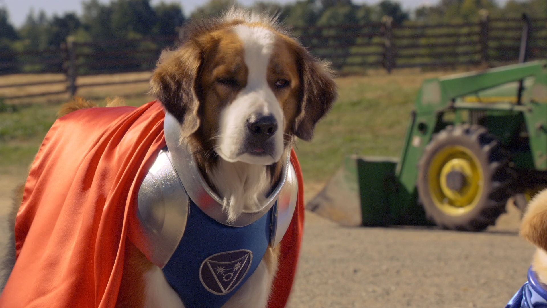 Фильм про собак супергероев пятерка