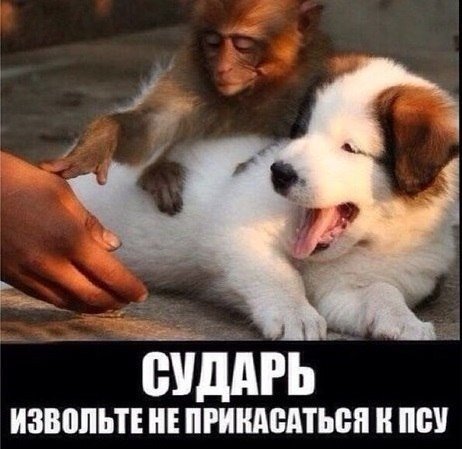 http://s5.hostingkartinok.com/uploads/images/2014/01/1a3b332df0df3fadc31ca8ed1d53e546.jpg