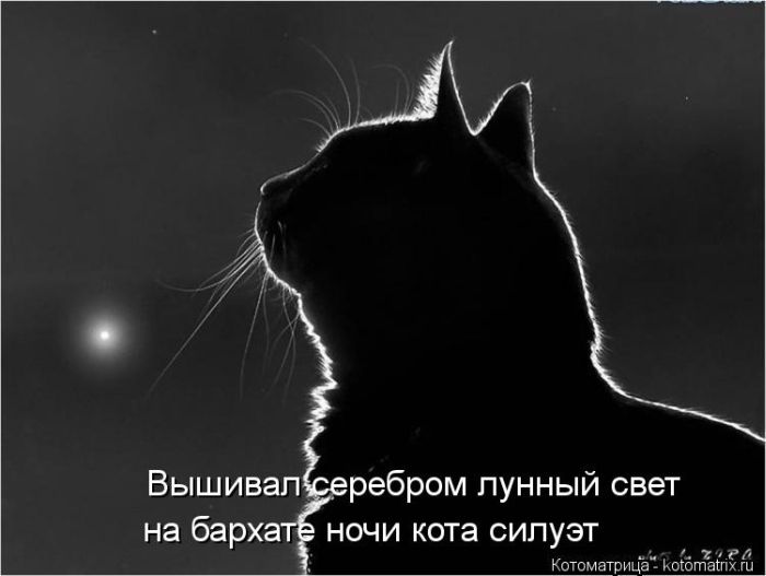 http://s5.hostingkartinok.com/uploads/images/2014/01/2cdc2209874af9a693e3dac267b00b46.jpg