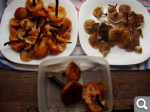 6065c5563d1d0604deae55519ba06289.png